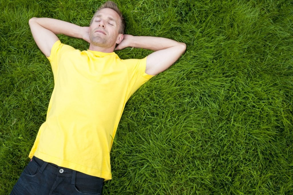 Lush patches of grass or damp spots