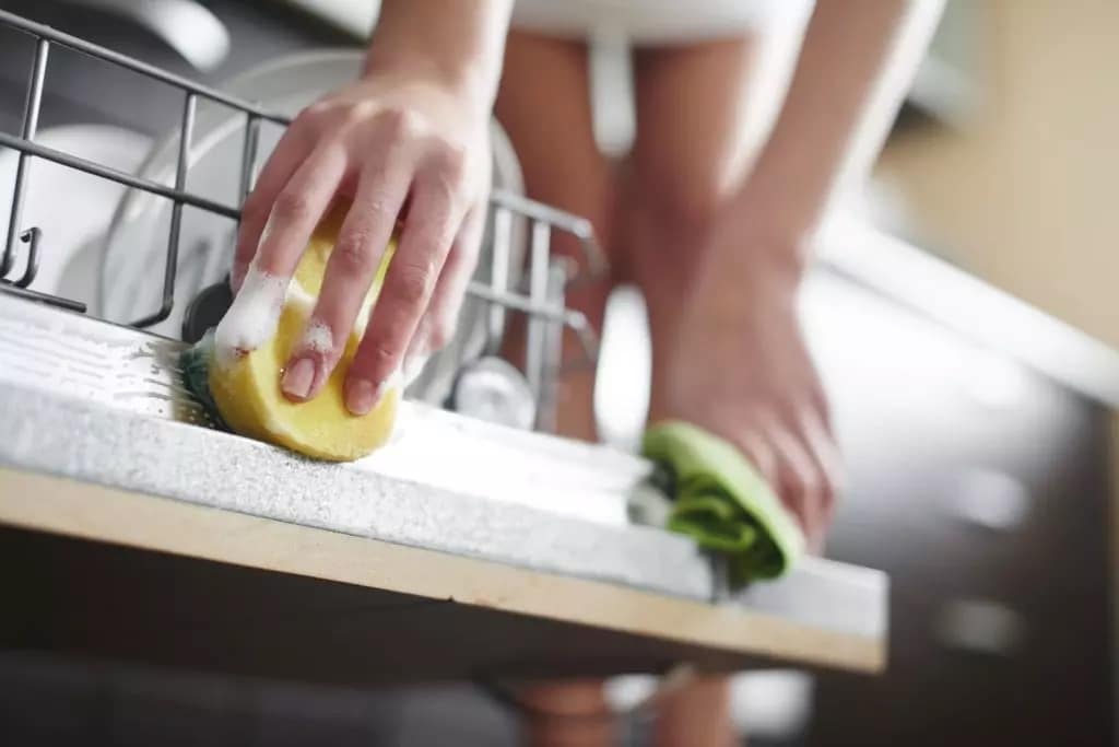 dishwasher maintenance