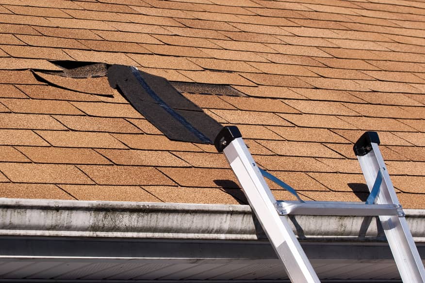 Call a professional the moment you notice the damage.