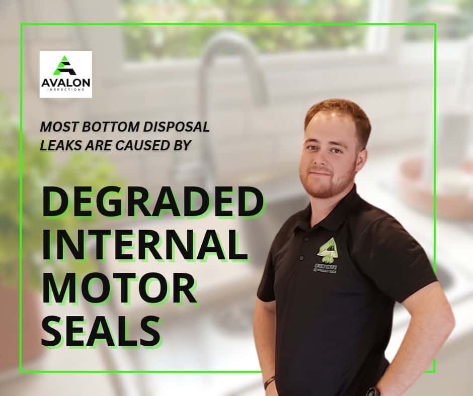 An inspector standing next to text reading "Most bottom disposal leaks are caused by degraded internal motor seals," featuring the Avalon Inspections logo.