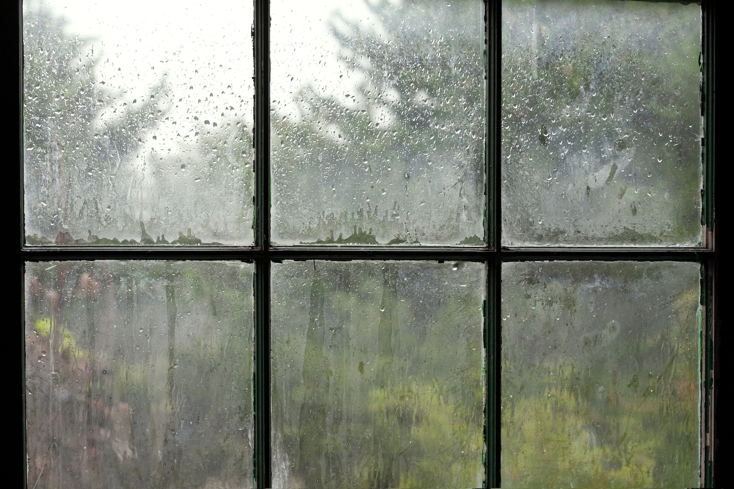 old foggy window