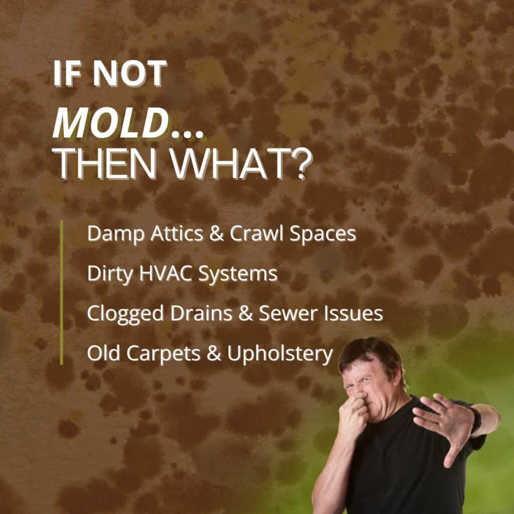 causes of musty odors in the house besides mold