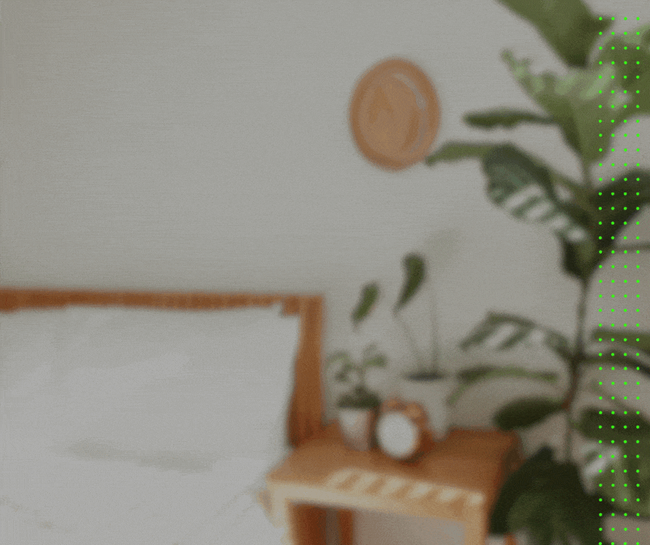 house plants are effective at cleaning indoor air