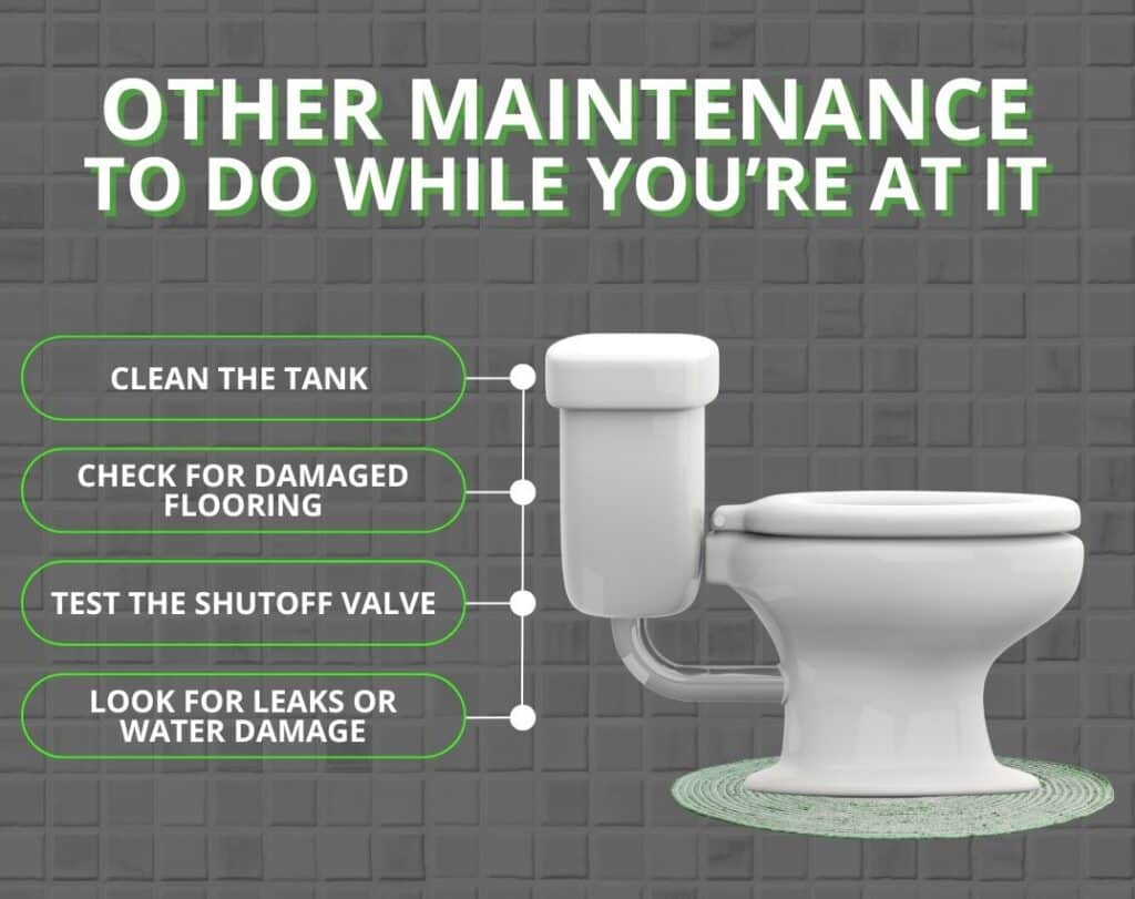 other maintenance while you install a toilet seat