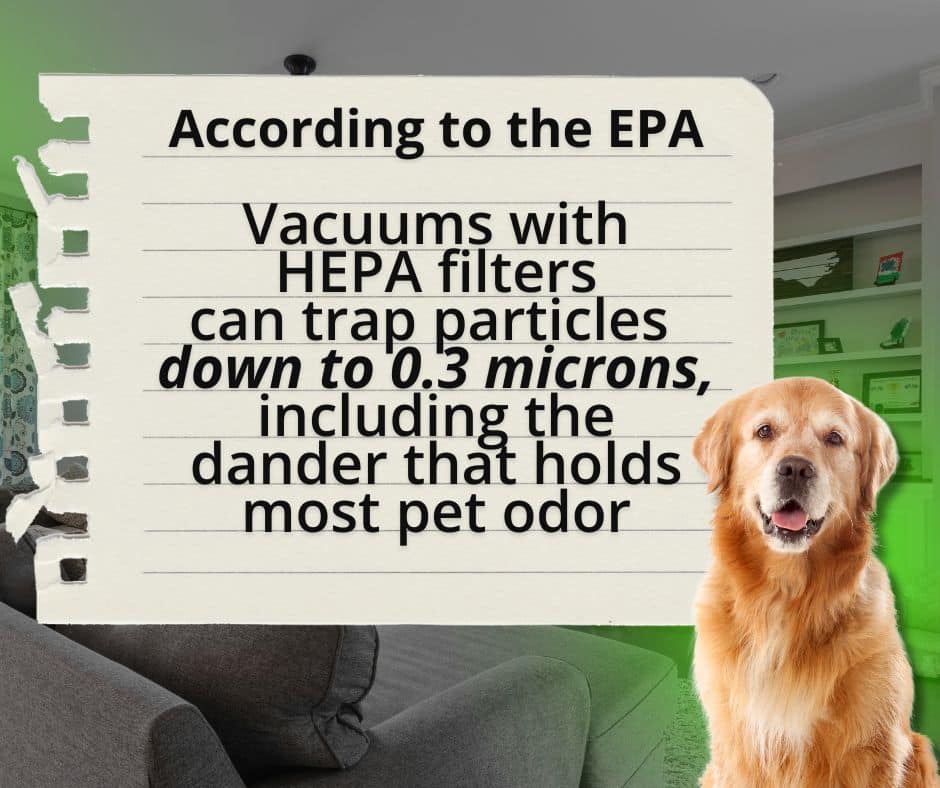 Golden retriever next to an EPA stat graphic explaining how HEPA filter vacuums remove pet dander and odors
