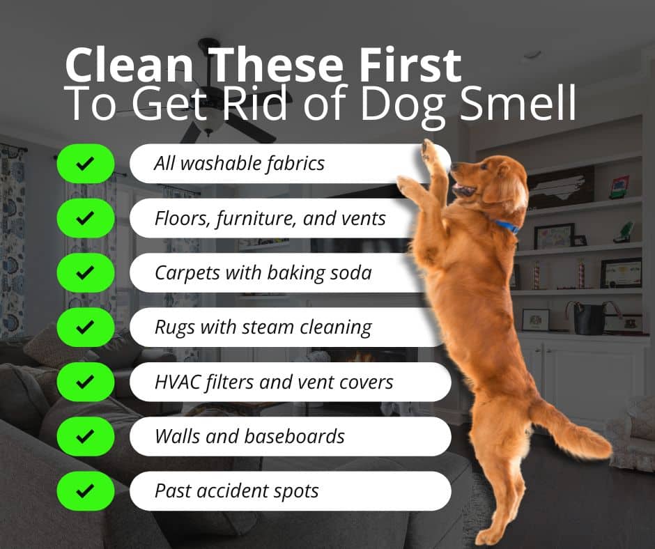 Infographic checklist titled Clean These First To Get Rid of Dog Smell featuring a Golden Retriever