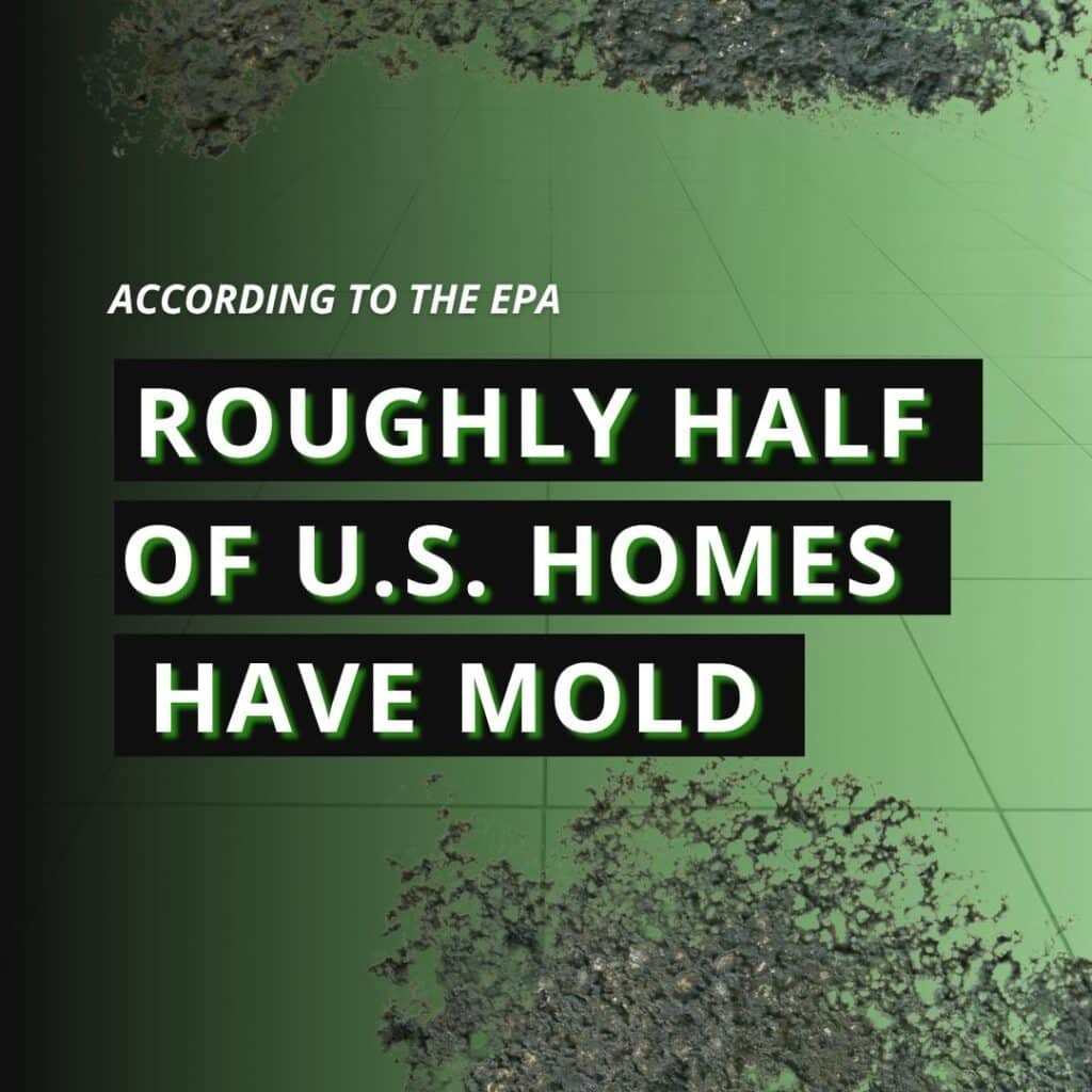 Text graphic over a mold-textured green background reading: "According to the EPA, roughly half of U.S. homes have mold."